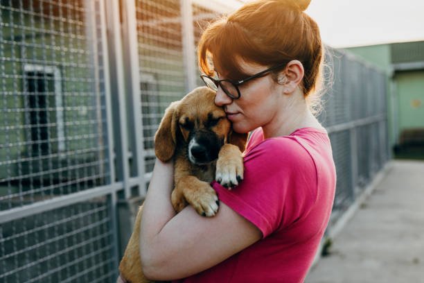 Young woman adopting dog from a shelter.