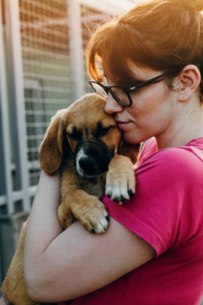 Young woman adopting dog from a shelter.