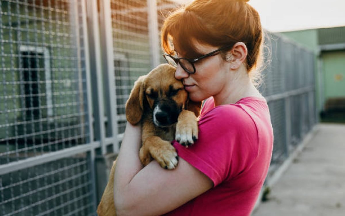 Young woman adopting dog from a shelter.